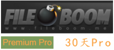 fileboom premium（pro版） 30天高级会员激活码