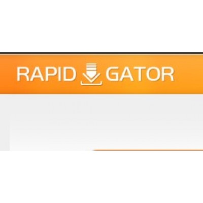 Rapidgator.net 高级会员60天