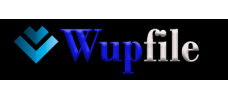 wupfile.com 30天高级会员