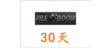 fileboom fboom premium 30天高级会员激活码