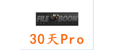 fileboom premium（pro版） 30天高级会员激活码