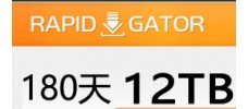 Rapidgator.net 高级会员180天（12TB）
