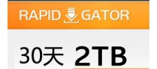 Rapidgator.net 高级会员30天（2TB）