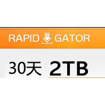 Rapidgator.net 高级会员30天（2TB）