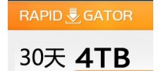 Rapidgator.net 高级会员30天（4TB）