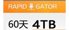 Rapidgator.net 高级会员60天（4TB）