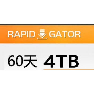 Rapidgator.net 高级会员60天（4TB）