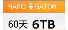 Rapidgator.net 高级会员60天（6TB）