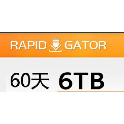 Rapidgator.net 高级会员60天（6TB）